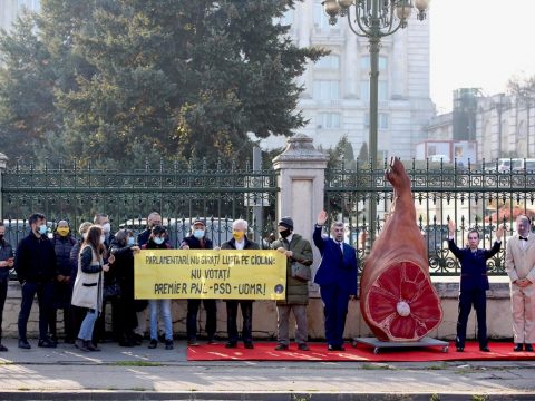 Csülökkel tüntetett a kormány beiktatása ellen a Declic közösség