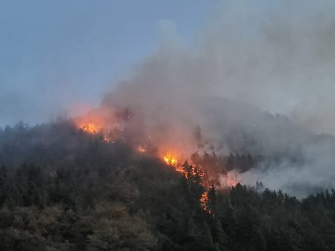 Öt napja ég az erdő Ojtozban, már 28 hektár vált a lángok martalékává