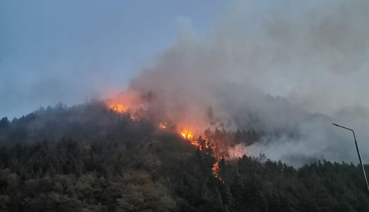 Öt napja ég az erdő Ojtozban, már 28 hektár vált a lángok martalékává