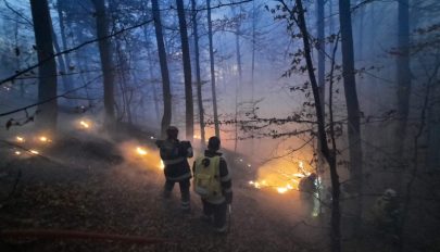 Tíz nap után sikerült eloltani az erdőtüzet az Ojtozi-szorosban