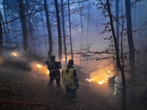 Tíz nap után sikerült eloltani az erdőtüzet az Ojtozi-szorosban