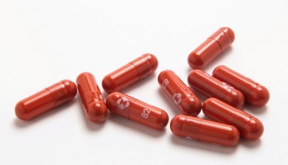 Az EMA ajánlást adott ki a molnupiravir nevű, szájon át szedhető gyógyszer alkalmazására
