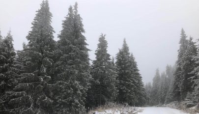 Az avatók sem maradnak el