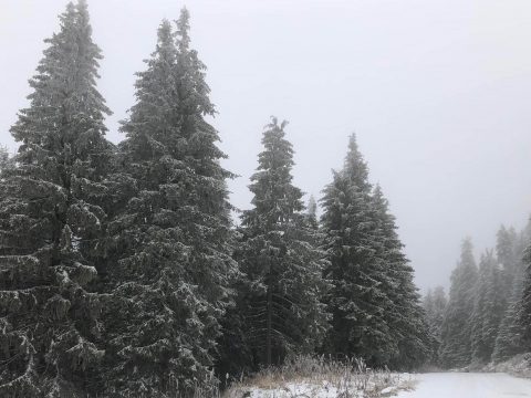 Az avatók sem maradnak el