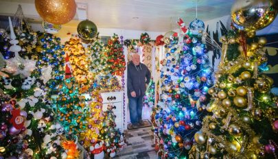 Világrekord: 444 karácsonyfát állított fel lakásában egy német férfi