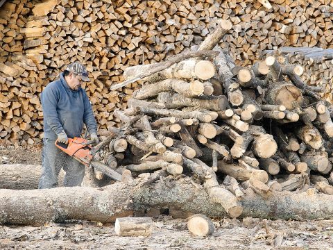 Tánczos Barna a zöld átállásról