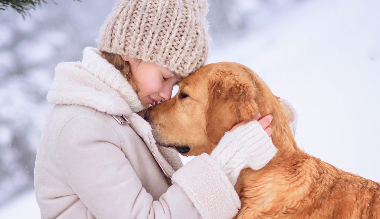 Egy kutyát magához ölelve élte túl a hóvihart egy 10 éves kislány