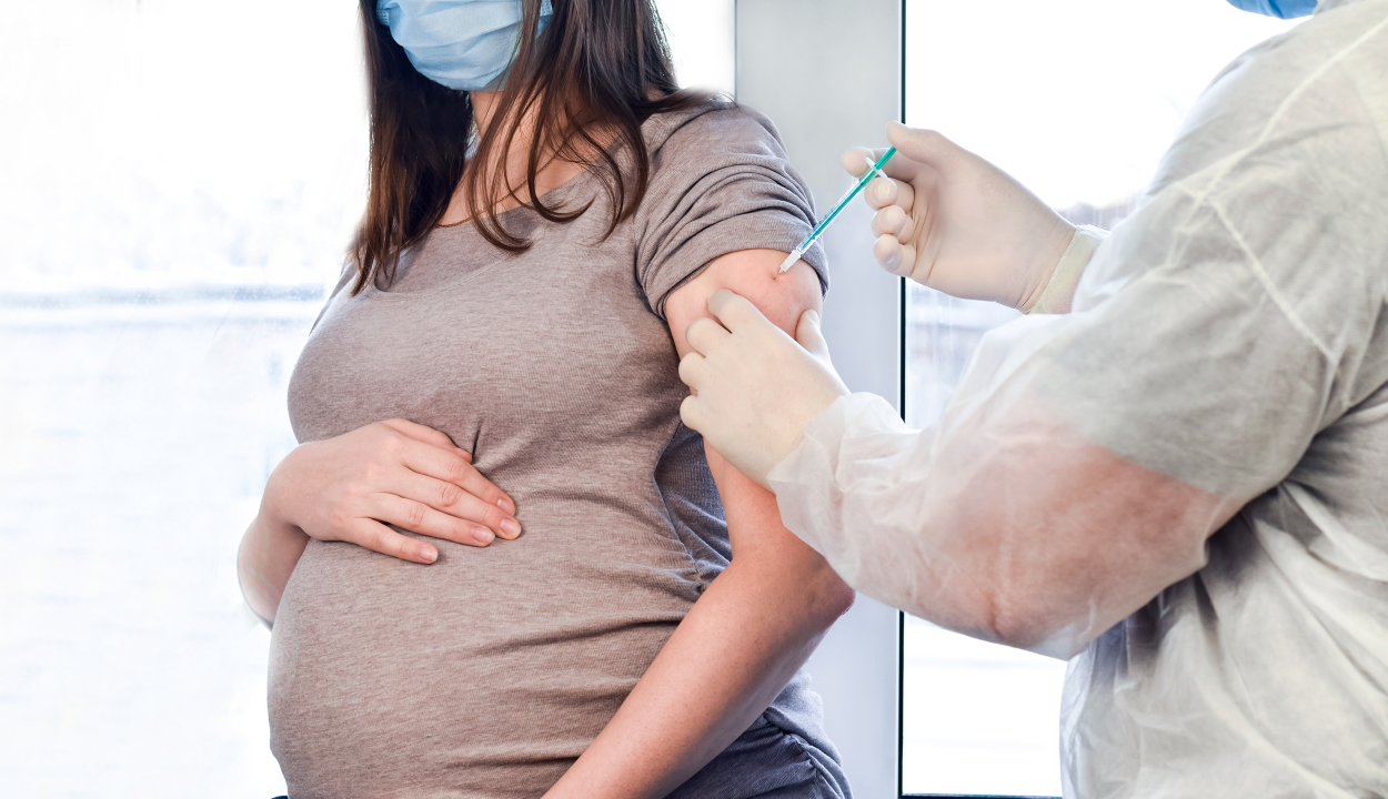 Az EMA szerint az mRNS-vakcinák biztonsággal alkalmazhatók terhesség alatt is