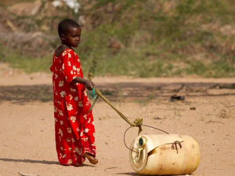 ENSZ: 13 millió embert fenyeget súlyos éhínség Afrika szarván