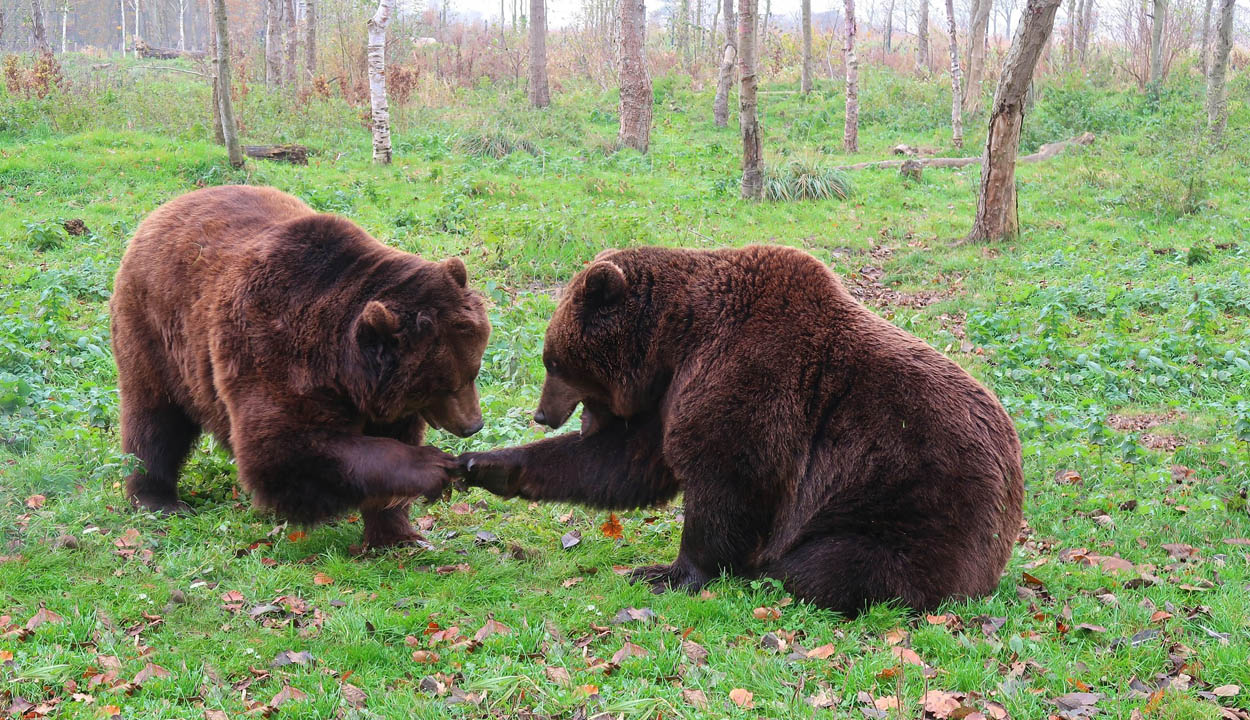 Tiltakoznak a vadászok