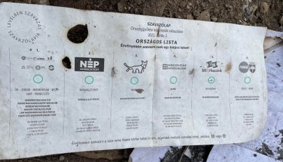 Kidobott levélszavazatokat találtak Marosvásárhely határában
