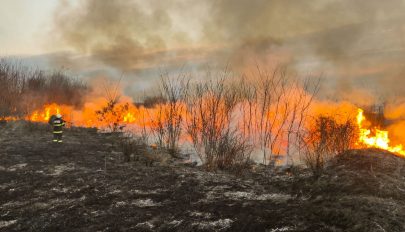 Hargita megyében már 250 gazda veszítette el a mezőgazdasági támogatást tarlóégetés miatt