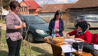 Jövőre lejár a HKA csemeteprogramja