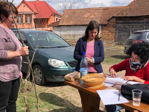 Jövőre lejár a HKA csemeteprogramja