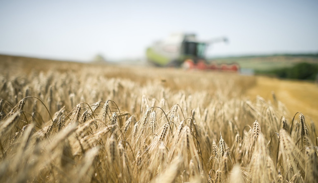 Külügy: 2,7 millió tonna ukrán gabonát exportáltak Románián keresztül