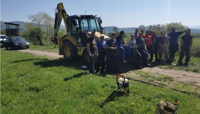 Villanypásztorral előznék meg a vadkárokat