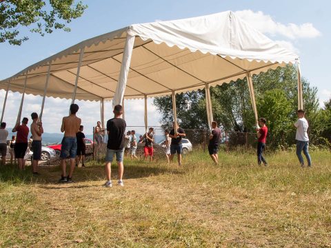 Freedom of Festival