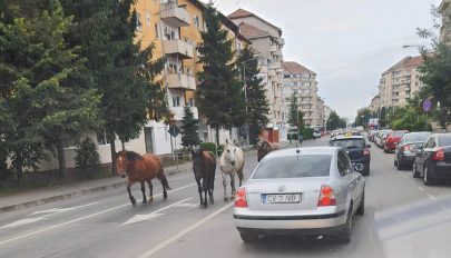 Akadozik a befogás