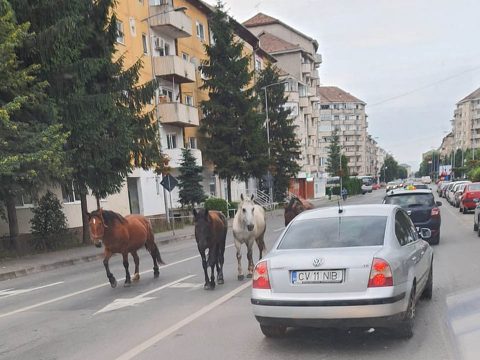 Akadozik a befogás