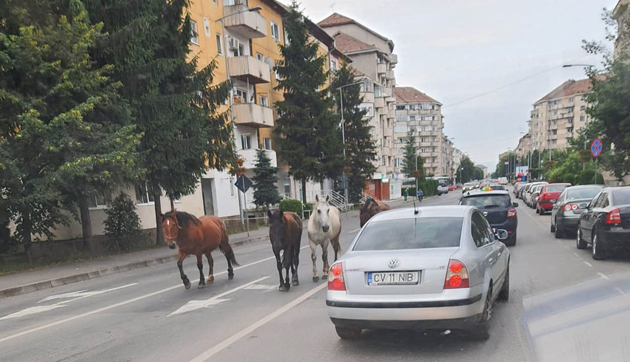 Akadozik a befogás