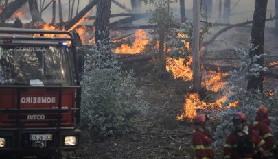 Több ezer hektáron tombolnak erdőtüzek Európa déli térségein