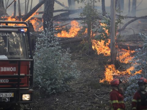 Több ezer hektáron tombolnak erdőtüzek Európa déli térségein