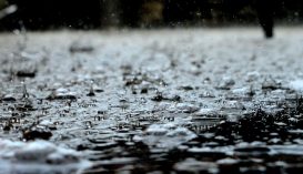 Mérgező anyagok miatt már sehol sem fogyasztható az esővíz