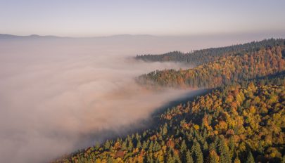 Az évszaknak megfelelő idő várható a következő két hétben