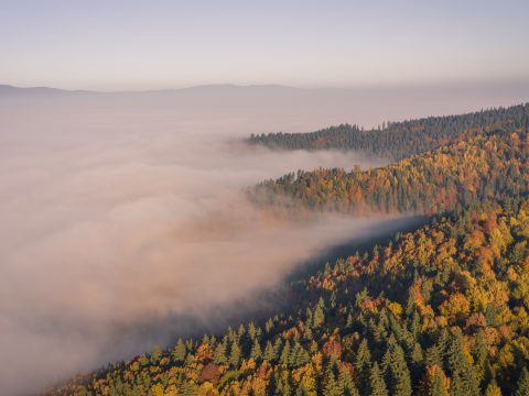 Az évszaknak megfelelő idő várható a következő két hétben