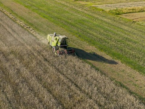 A gazdaszervezetek kérik a villamosenergia-ársapka kiterjesztését a mezőgazdaságra is