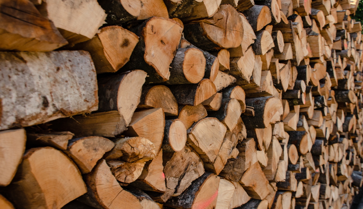 Korlátozná a tűzifa árát és a tűzifaexportot a környezetvédelmi minisztérium