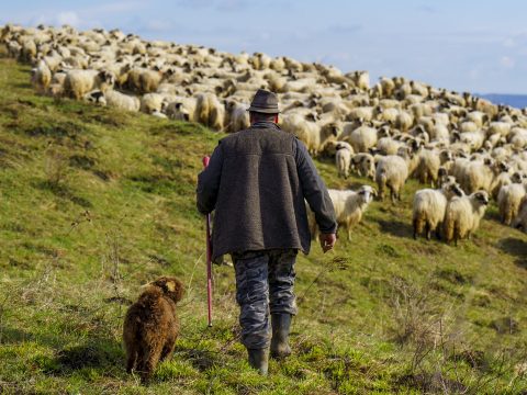 Támogatást igényelhetnek a hegyvidéki gazdálkodók