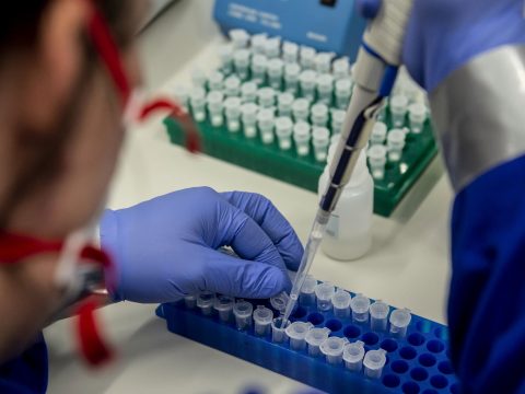 A koronavírus ellen hatásos természetes vegyületet találtak magyar kutatók