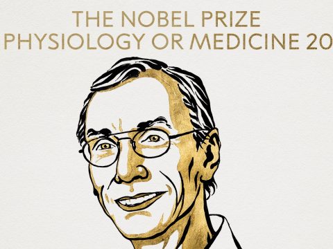 Svante Pääbo kapja az orvosi-élettani Nobel-díjat