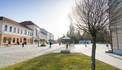 Negyedmilliárd lejből gazdálkodnak