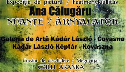 Árnyalatok a kovásznai képtárban
