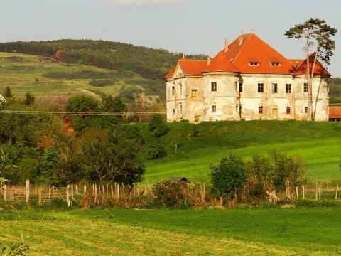 Terápia szenvedélybetegeknek