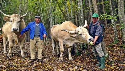 Ha ma derűs az idő, jó búza- és szénatermés várható