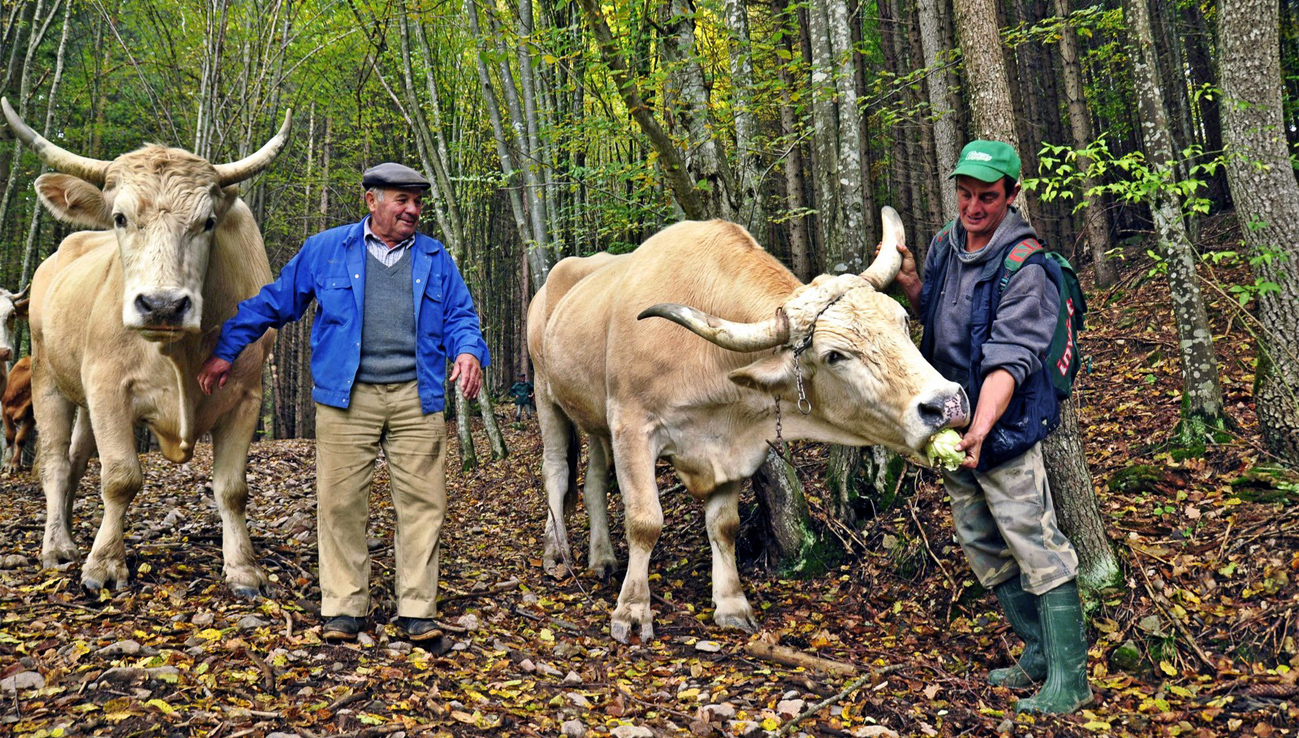 Ha ma derűs az idő, jó búza- és szénatermés várható