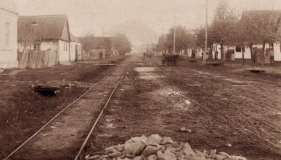 Székely telep a brazil őserdőben