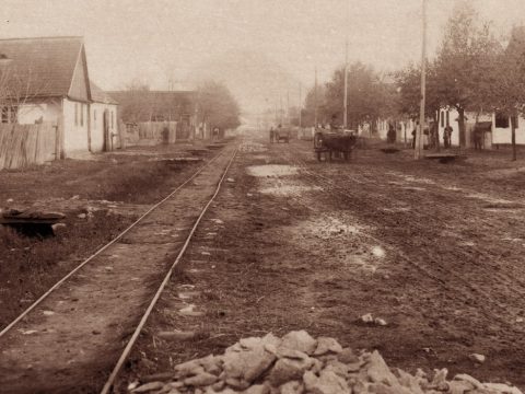 Székely telep a brazil őserdőben