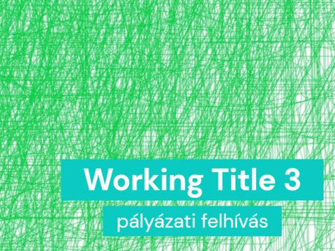 WORKING TITLE 3 – pályázat