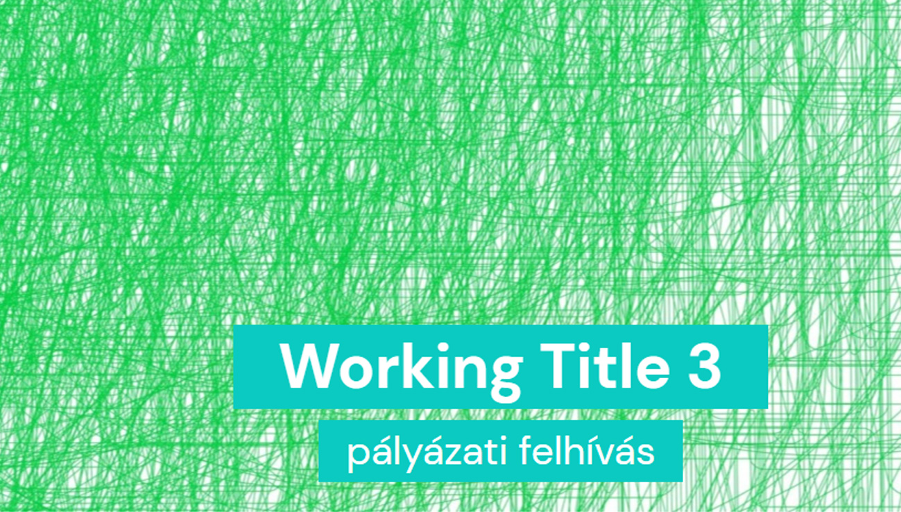 WORKING TITLE 3 – pályázat