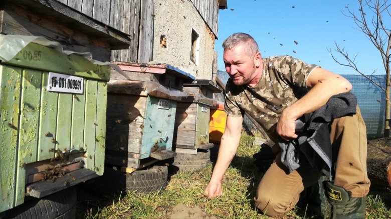 Nagy bajban a háromszéki méhészek