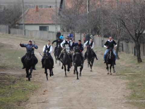 Kókonya a radináskasban