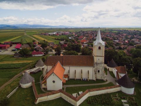 Új kutyamenhelyet terveznek Felső-Háromszéken