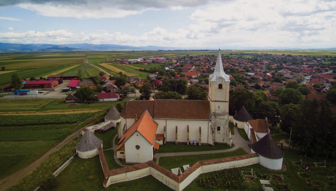 Új kutyamenhelyet terveznek Felső-Háromszéken