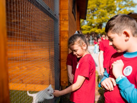 Gyermeknap Háromszéken és a Barcaságban