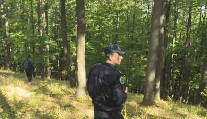 Erdőben eltévedt férfit találtak meg