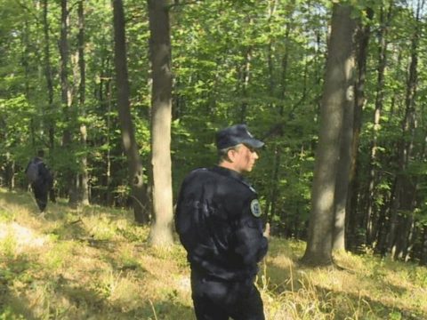 Erdőben eltévedt férfit találtak meg